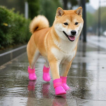 Cachorro andando na chuva com as botinhas protetoras