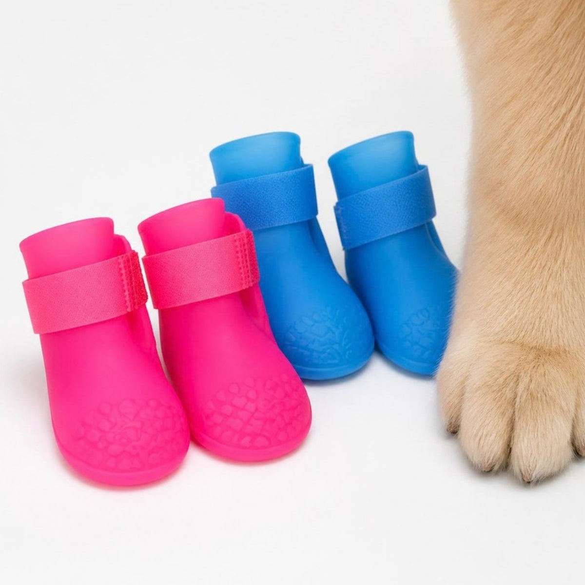 Kit com as 4 botinhas de silicone ao lado da pata
