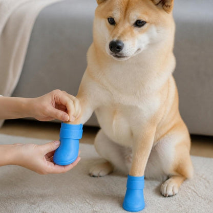 Tutor colocando a botinha na pata do cachorro