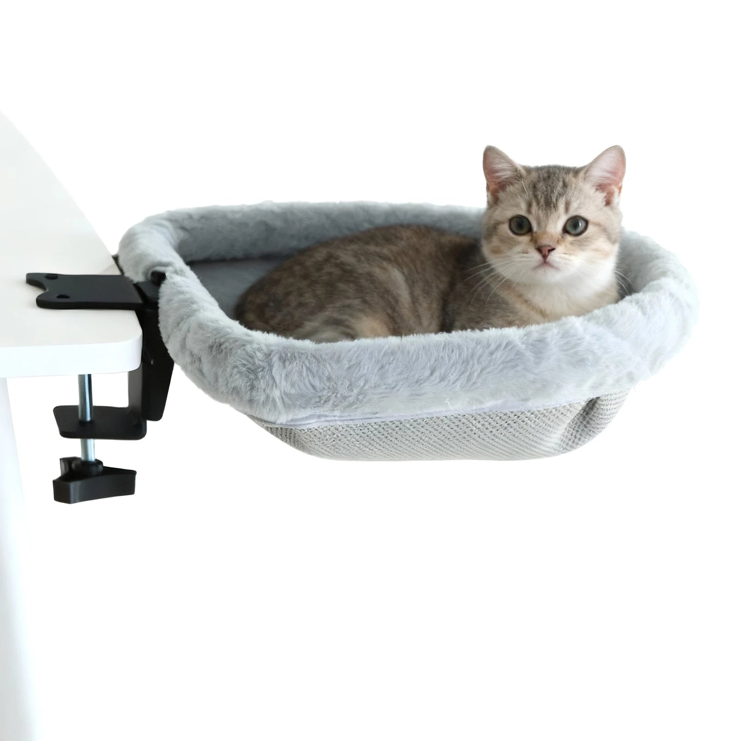 Cama Suspensa Premium