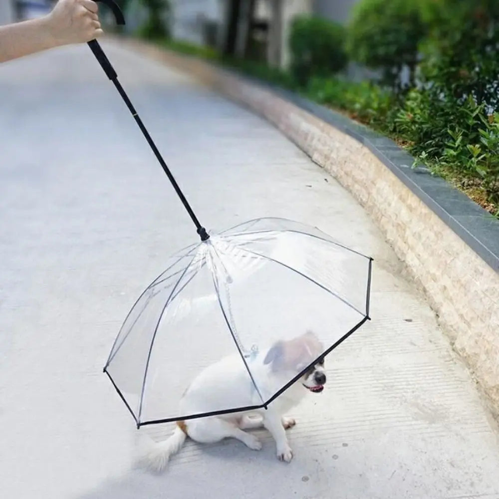 Guarda-Chuva Pet