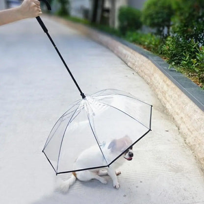 Guarda-Chuva Pet