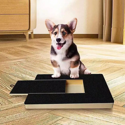 Brinquedo Anti-Estresse Lixa Pet