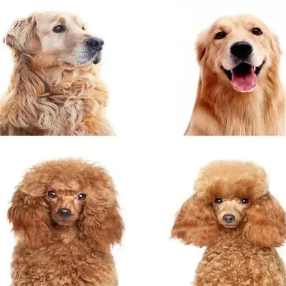 Escova AntiPelos Pet
