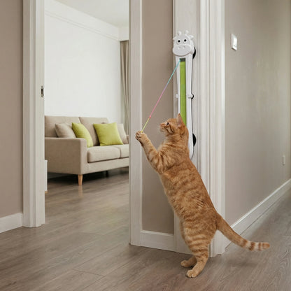 Fio Interativo Felino