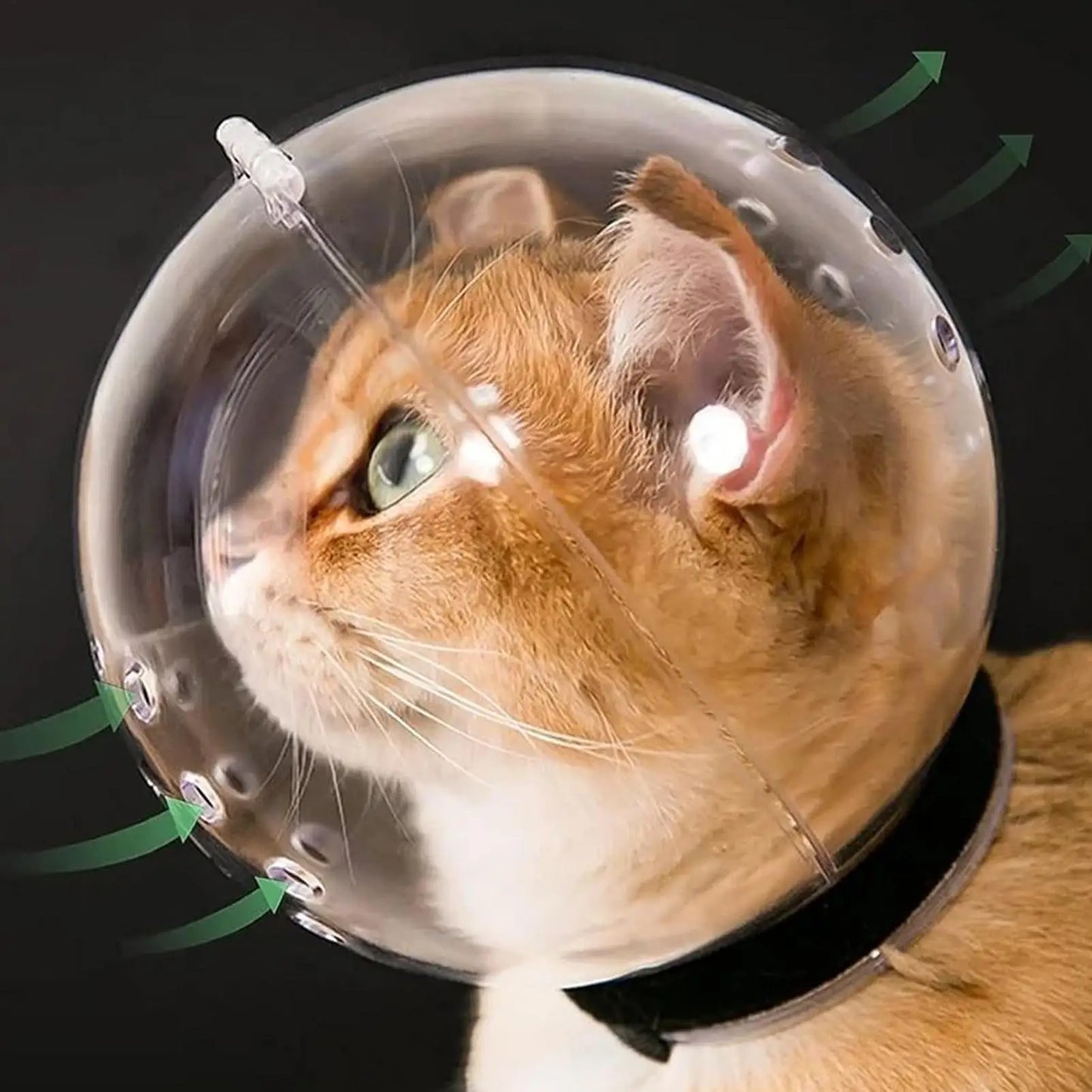 Focinheira Felina Confortável
