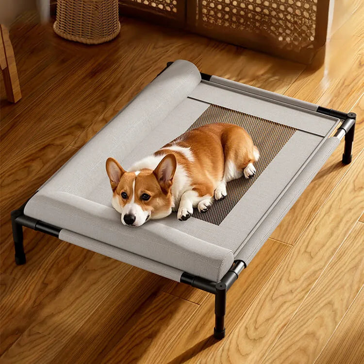Cama Elevada Pet
