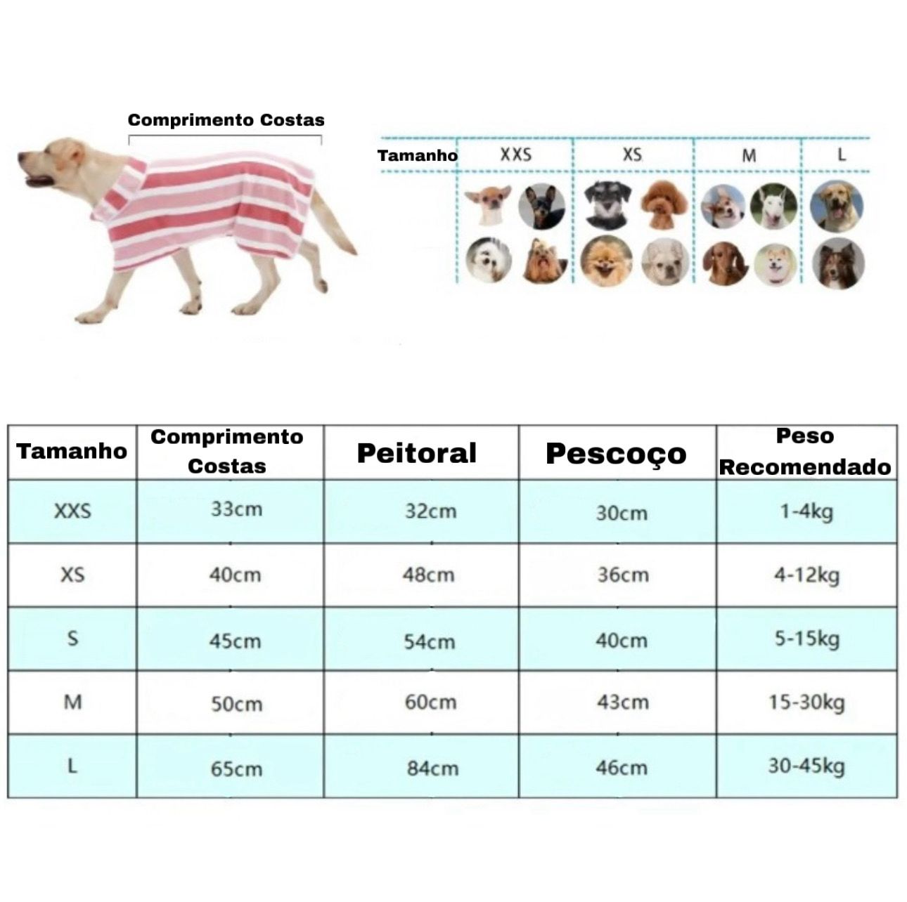 Toalha Pet Premium