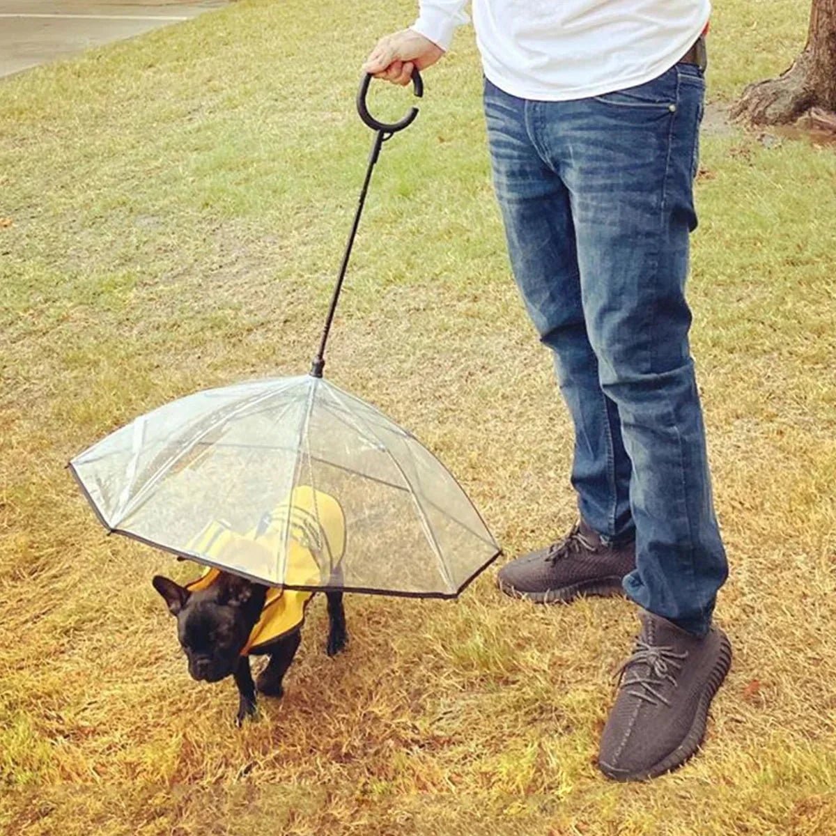 Guarda-Chuva Pet