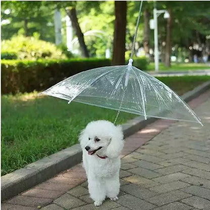 Guarda-Chuva Pet