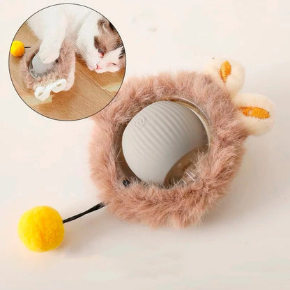 Brinquedo Interativo Pet Pro