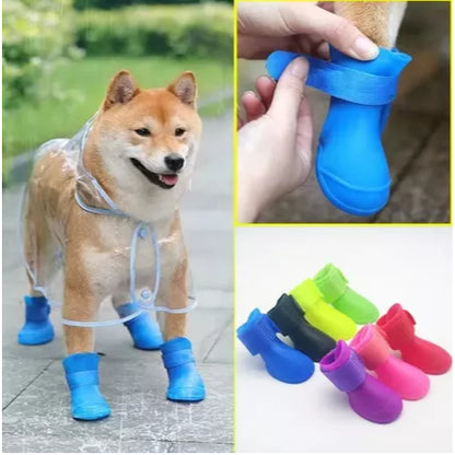 Cachorro usando as botinhas protetoras de silicone a prova dagua