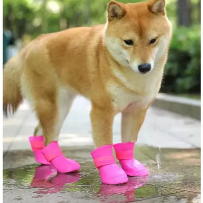 Cachorro com botinhas rosa na rua
