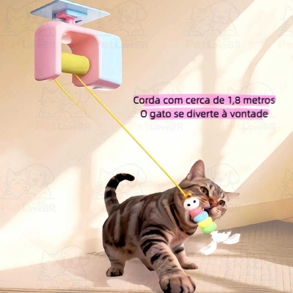Brinquedo Felino Smart
