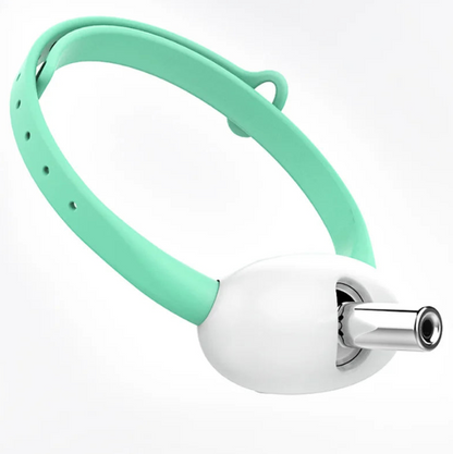 Coleira Laser Interativa