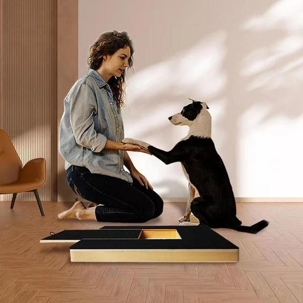 Brinquedo Anti-Estresse Lixa Pet