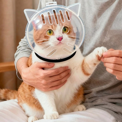 Focinheira Felina Confortável